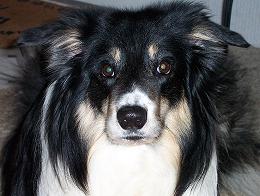 Colin04